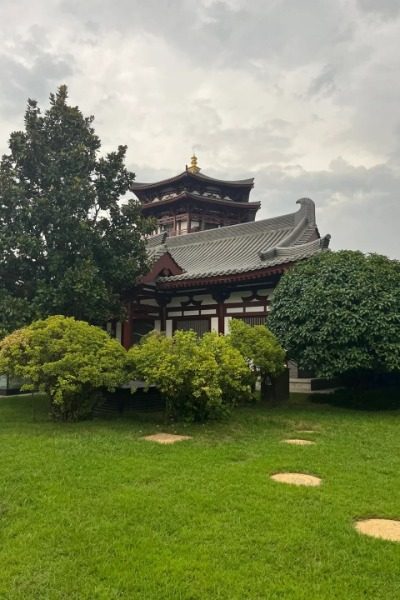 Apricot Garden-Tang Paradise-Xi’an Apricot Garden at Tang Paradise, Xi'an