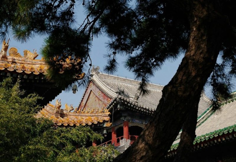 Building-Lama Temple-Beijing Watching the rooftops of Yonghe Temple from beneath the shade of the trees.