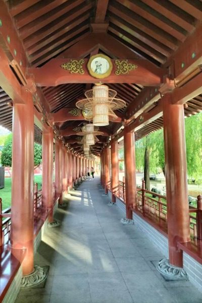 Rosy Corridor 3-Datang Furong Garden-Xi’an Colorful Cloud Gallery at Tang Paradise, Xi'an
