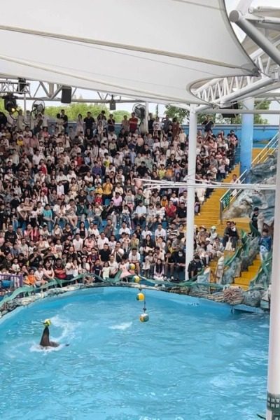 Sea Lion Theater-Shanghai Wild Animal Park-Shanghai Sea Lion Theater at Shanghai Wild Animal Park