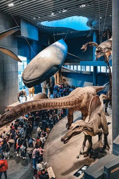 Shanghai Natural History Museum 2-Museum Guide-Shanghai Dinosaur Exhibits at Shanghai Natural History Museum