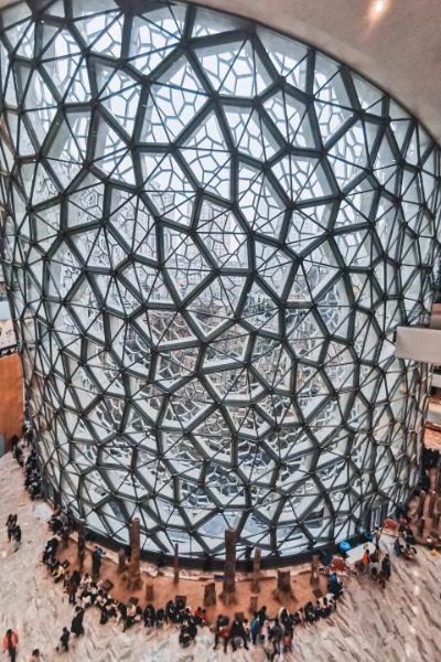 Shanghai Natural History Museum-Museum Guide-Shanghai (1) Popular Museums in Shanghai: Shanghai Natural History Museum