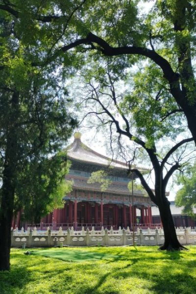 Summer (June to August)-Weather Guide-Beijing Sunlight filters through the leaves onto the lush green grass, with a traditional Chinese building in the distance.