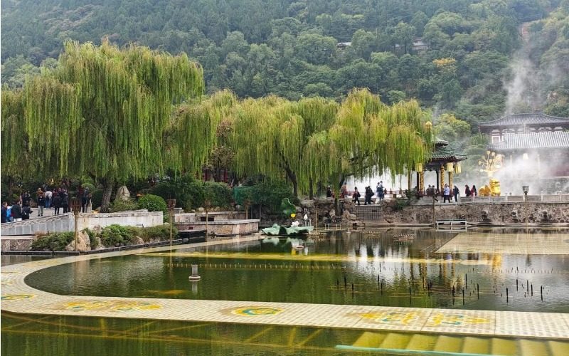 View 2-Huaqing Palace-Xi’an Willow Trees in Huaqing Palace, Xi'an