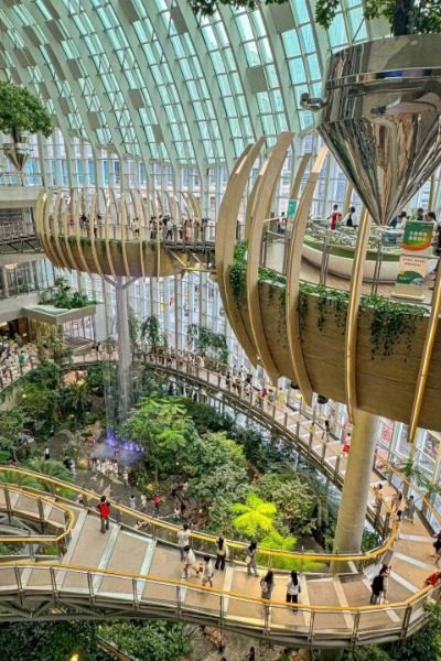 View 3-The Ring Mall-Chongqing Many tourists are admiring the botanical garden inside the Ring Mall in Chongqing.