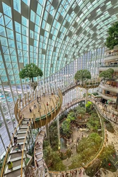 View 6-The Ring Mall-Chongqing Inside the Ring Mall in Chongqing, there are many "floating" trees and small islands.