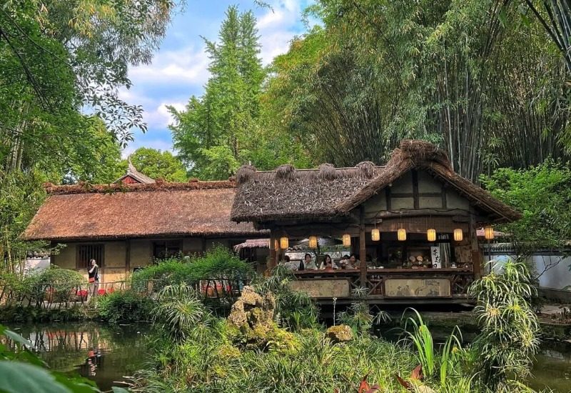View-Du Fu Thatched Cottage-Chengdu Popular attractions at the Du Fu Thatched Cottage Museum.