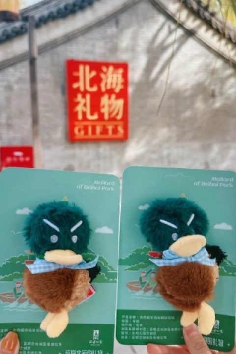 duck toy-Beihai Park-Beijing The green-headed duck plush is a classic souvenir from Beihai Park.