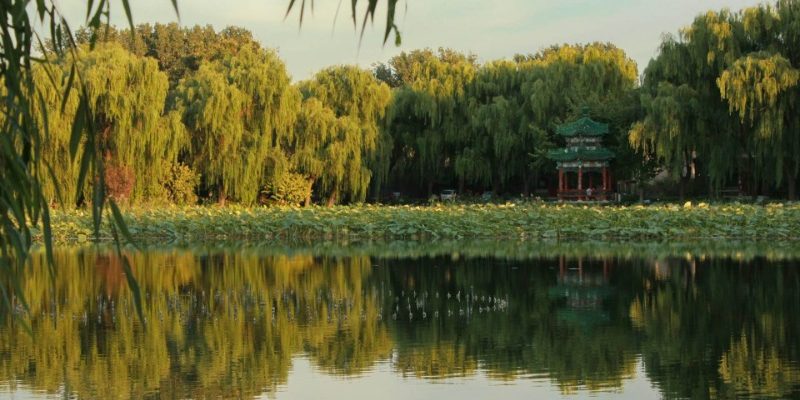 lake-old Summer Palace-Beijing The sunset casts a glow on the willow trees by the lake at the Old Summer Palace.