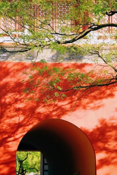 spring (March to May) (2)-Weather Guide-Beijing The spring sunlight casts the shadows of the branches onto the red walls of Beijing.